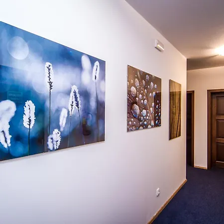 Hotel Jizerka 4